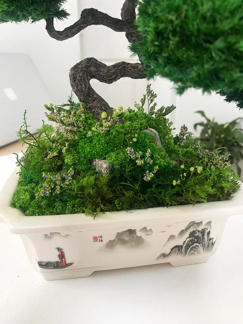 Lucky Moss Bonsai Trees