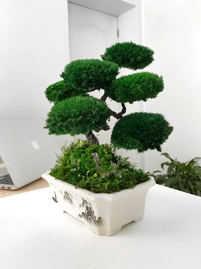 Lucky Moss Bonsai Trees